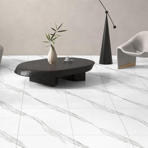Carreaux de sol en céramique en porcelaine Aramani Seal Design 600x600mm, finition brillante, personnalisables, qualité émaillée, rustique et anti-acide - Product Image 6