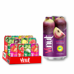 Jus de pomme étoilé VINUT - Vietnam Factory Export Boisson sans sucre avec échantillon gratuit OEM - Product Image 1