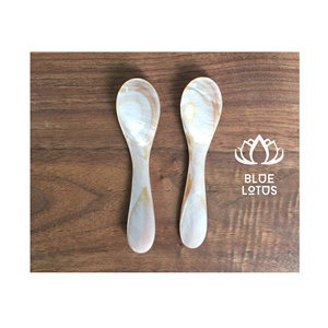 Expédition le jour même – Cuillère en nacre écologique et sûre, modèle 2026, ustensile en coquille pure, idéale pour servir le caviar et les œufs – Vente en gros - Product Image 1