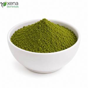 Fabricante Líder de Ingredientes Superalimentos, Extracto de Hoja de Moringa Oleifera en Polvo, Materia Prima Botánica Rica en Nutrientes para el Bienestar - Product Image 2