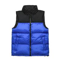 Gilet matelassé classique tendance 2026 pour l'hiver TNF – Vente flash pour hommes et femmes, style décontracté, logo personnalisé, veste sans manches de marque de créateur