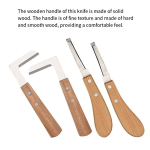 Cuchillo para Recortar Pezuñas GOLDEN (Recto y Curvo) para Ganado, Caballos y Cerdos - Herramienta Médica para el Cuidado de Animales, para Mano Derecha/Izquierda, de Acero Inoxidable - Product Image 6
