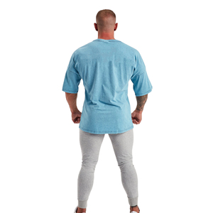 T-shirt à manches courtes pour homme, bleu clair, surdimensionné, col rond, couleur unie, décontracté, 100% coton, respirant, jersey tricoté 220g - Product Image 4