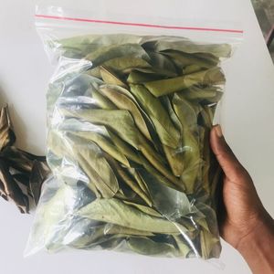 Feuilles de corossol séchées du Vietnam – Matière première botanique naturelle de qualité supérieure, soigneusement sélectionnées, nettoyées et traitées, produit aromatique de qualité export - Product Image 2