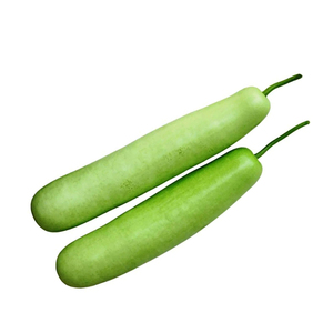Lauki pur et frais, courge tendre, légume de ferme, pour la vente en gros, la restauration et la cuisine, neuf - Product Image 2