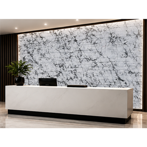 Mármol de Calcita Pulido ALPINE WHITE FLUTED-1 Ecológico con Vetas Blancas y Negras, Gran Losa, Diseño 3D, para Pared de Sala de Estar Moderna - Product Image 1