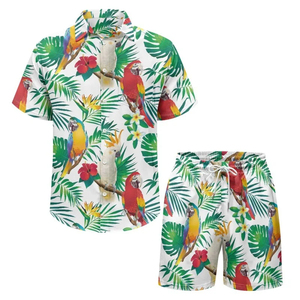 Conjunto de Ropa de Playa, Camisa y Pantalones Cortos Transpirables, Conjunto de Dos Piezas, Atuendo de Verano a la Moda, Estilo Tropical, Conjunto de Playa de Manga Corta - Product Image 2