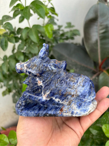 Statue de taureau Nandi en sodalite naturelle sculptée à la main |   Idole hindoue de Shiva en pierre précieuse bleue |   Fournisseur en gros de décorations d'autels spirituels - Product Image 6