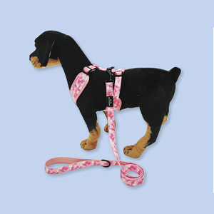 Collare di raffreddamento estivo personalizzato tattico altri collari per animali domestici guinzaglio borsa da viaggio imbracatura per cani - Product Image 5