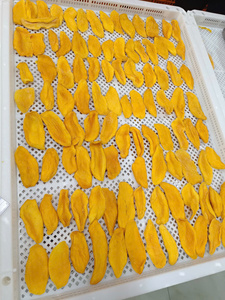 Rodajas de Mango Fresco de Vietnam, Snack de Mango, Dulce o Sin Azúcar, Sin Aditivos de Azúcar, OEM, Marca Privada, Grado a Granel, Impresión Personalizada - Product Image 1