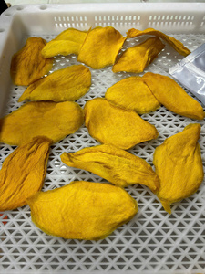 มะม่วงอบแห้ง มะม่วงธรรมชาติ ผลไม้อบแห้ง วัตถุดิบสำหรับเบเกอรี่ โยเกิร์ต และท็อปปิ้งของหวาน เนื้อนุ่มหนึบ บรรจุภัณฑ์ขนาดใหญ่ ผลิตจากเวียดนาม - Product Image 3