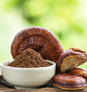 Polvo de Ganoderma Lucidum Orgánico Natural al por Mayor, Polvo de Superalimento de Hongo Reishi para Formulaciones Nutracéuticas y Herbales - Product Image 4