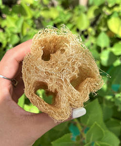 Éponge exfoliante en loofah bio 10-12cm, emballage personnalisé, provenant d'un fournisseur de loofah naturel du Vietnam. - Product Image 6