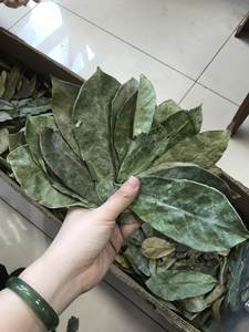 Poudre de corossol Feuilles biologiques cueillies à la main Ingrédients de thé aux herbes tropicales séchées naturellement Vietnam - Product Image 2