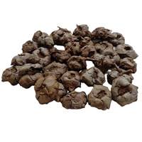 Décoration de haute qualité écologique en forme de coque de graines et fleurs séchées, accessoires végétaux naturels exotiques en coque de coco séchée pour la décoration intérieure