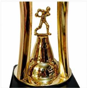 Stainless Steel Sports <b>Trophy</b> <b>Cup</b> Customized Achievement Award Display Durable Premium Quality - Product Image 3