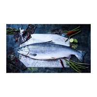 Saumon en gros, saumon congelé (produits de la mer)