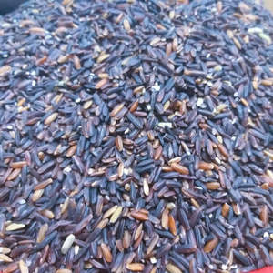 Cápsulas Líquidas de Extracto de Arroz Negro 100% Puro, Blanqueamiento de la Piel, Antienvejecimiento, Refuerzo del Sistema Inmunitario, Proveedor de Ingredientes Naturales para la Salud - Product Image 4