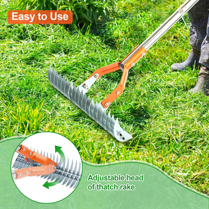 Râteau à désherber la pelouse avec long manche, désherbeur pour l'entretien des pelouses <span class=keywords><strong>de</strong></span> jardin - Product Image 2
