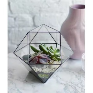 Contemporary Living Indoor Garden Metal Terrarium Glass Planter Decorative Display Box Home Decor - Product Image 1