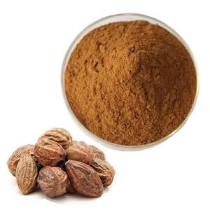 Poudre d'herbes Terminalia Chebula Haritaki pour le bien-être ayurvédique traditionnel, soins naturels à base de plantes et soutien quotidien à la santé - Product Image 1