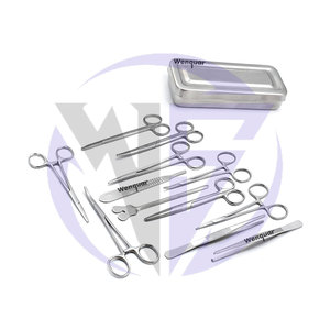 Ensemble d'instruments chirurgicaux professionnels de 13 pièces Wenquar, vente chaude, outils en acier inoxydable pour les cliniques et les hôpitaux - Product Image 3