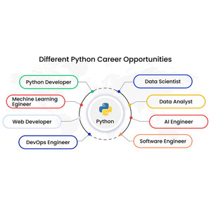 Desarrolladores de Python - Product Image 2