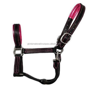 Nouveau arrivage de licou rembourré en cuir anglais noir robuste avec quincaillerie réglable en nickel ou laiton massif - Product Image 4