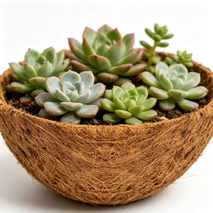 Natural Coconut Coir Fiber Wall Hanging Pot Basket for Home <b>Garden</b> Flowers Biodegradable Eco-Friendly Planter Wholesale Vietnam - Product Image 6