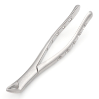 # Forceps d'extraction 151 pour incisives et premolaires inférieurs, à dents crantées, pointes précises, en acier inoxydable chirurgical dentaire