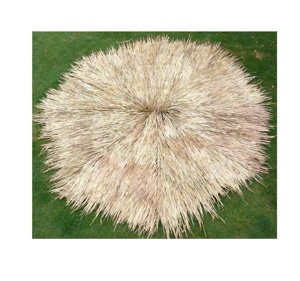 Material de pared de paja de Palma natural de Vietnam para cabañas de playa gazebos Resorts hoteles Jardín al aire libre Evento Pared diseño interior - Product Image 2