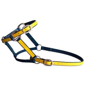 Rub International Haute Qualité 1 "PVC Guanine Nylon Durable Cheval Halter Entièrement Réglable 2 Couleurs Modèle En Cuir Léger - Product Image 2