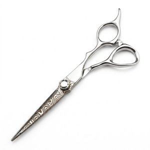 Ciseaux de coiffure professionnels de 6,0 pouces, ciseaux de barbier, outils de coupe de cheveux en acier inoxydable - Product Image 1