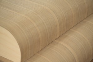 Mueble de mesa vietnamita con núcleo de madera dura MDF y revestimiento de chapa para puerta interior residencial - Product Image 2