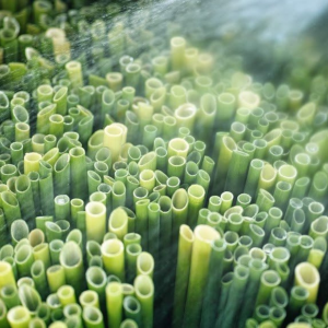 หลอดดื่มหญ้าออร์แกนิกเป็นมิตรต่อสิ่งแวดล้อมผลิตจากผลิตภัณฑ์ทางการเกษตรของเวียดนาม - Product Image 3