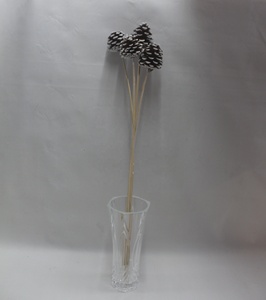 Bâton décoratif en pin botanique à pointe blanche Latoo pour la décoration de la maison, d'aquariums, de projets DIY et de bouquets - Product Image 5