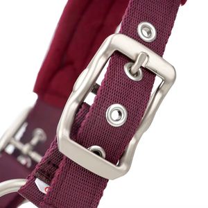 Soft <b>Cushion</b> Velvet Horse Halter – Extra Comfort Premium Gear - Product Image 3