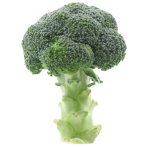 Brócoli IQF al por Mayor, Marcas de Brócoli Congelado a Granel con Precio Competitivo - Product Image 4