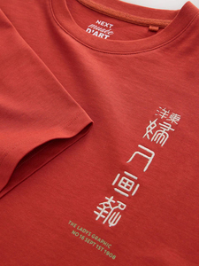 Camiseta Personalizada con Logotipo 3D, 100% Algodón, Camiseta de Peso Pesado, Unisex, Impresión en Serigrafía, Impresión Puff con Logotipo - Product Image 4