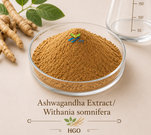 Suministro directo de fábrica HGO de extracto natural puro de Ashwagandha/Withania somnifera (grado alimenticio) Especificación 5:1 (extracto de proporción) - Product Image 1