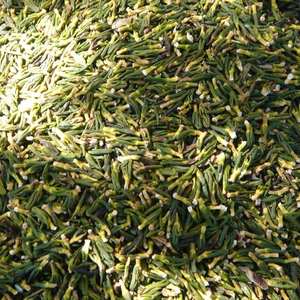 MEILLEUR PRIX Blue Lotus 2025 Lotus Embryon Pur Noyau de Lotus séché pour une routine quotidienne saine de thé - Product Image 3