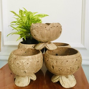 กระถางปลูกต้นมะพร้าวธรรมชาติกระถางต้นไม้แบบแขวนดีไซน์สร้างสรรค์ใหม่สำหรับตกแต่งสวน - Product Image 1