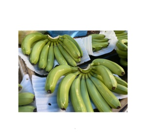 Banana Cavendish verde orgánica 100% al por mayor, productos frescos de alta calidad directamente de granjas de Vietnam - Product Image 4