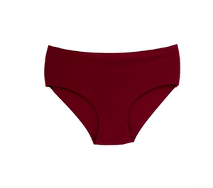 Braguitas de bikini de nailon personalizadas, transpirables, antiarrugas, antipilling, ecológicas, sin costuras, para mujer, ropa íntima al por mayor de Bangladesh - Product Image 1