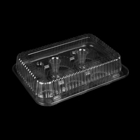 Emballage en plastique PET jetable biodégradable de premier ordre conteneur de boulangerie à clapet de gâteau boîte à pâtisserie en plastique conteneur à dessert