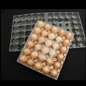 12 Pcs Clear Plastic Quail Egg Tray Making Machine