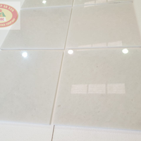 Carrelage en marbre blanc naturel du Vietnam pour les projets de revêtement de sol des halls d'hôtels et de revêtement mural des villas, qualité supérieure, blanc pur