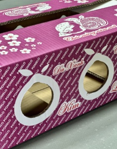 Custom Eco-Friendly Recycled Materials Packaging <b>Box</b> for Fresh Pomelo Fruit | Agricultural Produce Carton Export Wholesale - Product Image 5