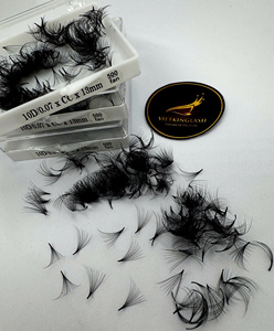Wholesale 10D 0.07 13mm Premade <b>Volume</b> Fans Eyelash Extensions 500 Fans Korean PBT Cashmere Matte Black C CC D Curl Easy Fan - Product Image 5