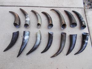 Par de Cuernos de Longhorn Pulidos para Decoración de Pared, Diseño Art Deco Ecológico, Grandes de 10 y 18 Pulgadas, para Bodas, Cumpleaños, Aniversarios, Año Nuevo - Product Image 3